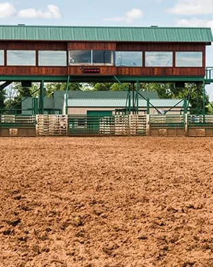 PBR Bull Riding