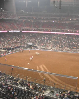 Pro Rodeo - Final
