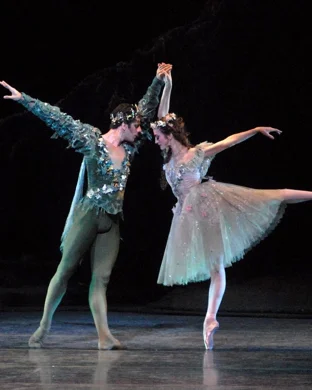 World Ballet Company: Swan Lake