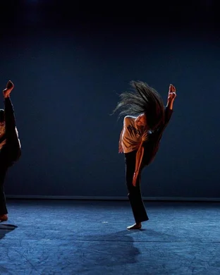 Pilobolus